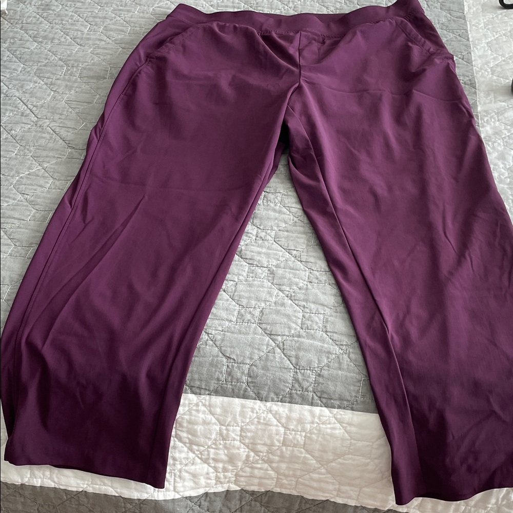 Talbots Plum Trousers